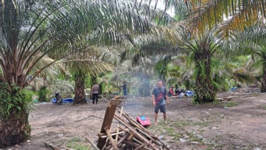 Respons Cepat Aduan Warga dan Media Sosial Polsek Belitang Hilir Bongkar Judi Ayam di Dusun Beruduk