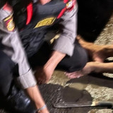 Sudah Berkumpul dan Berencana "Ribut" dengan Kelompok Malaka, Tiga Pria di Koja Diringkus hingga Sajam Celurit-Stik Golf Disita