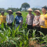 Petani di Garut Manfaatkan Kotoran Maggot jadi Pupuk