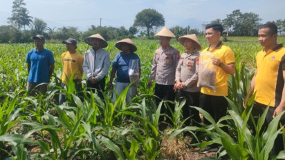 Petani di Garut Manfaatkan Kotoran Maggot jadi Pupuk