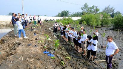 Minimalisir Risiko Bencana di Kawasan Pesisir, Relawan Zona Hijau dan PLN Peduli Tanam Mangrove di Danau Siombak
