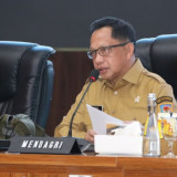 Apresiasi Inflasi Nasional 3,08 Persen, Mendagri Minta Perkembangan Harga Minyak Goreng Dimonitor