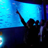 BXSea Gandeng YO-GYO Aquarium Jepang Dalam Rangka Memperkuat Konservasi Biota Laut Indonesia
