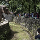 Wisata Taman Margasatwa Ragunan Membeludak, Ribuan Kendaraan Padati Kantong Parkir di Libur Nasional