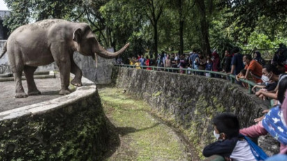 Wisata Taman Margasatwa Ragunan Membeludak, Ribuan Kendaraan Padati Kantong Parkir di Libur Nasional