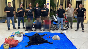 Polres Simalungun Ungkap Sindikat Jaringan Perdagangan Organ dan Tubuh Satwa yang Dilindungi