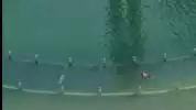 Viral! Pria Berenang di Kolam Bundaran HI, Kasatpol PP Jakarta Buka Suara