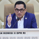 Komisi II: KPU-Bawaslu Perlu Mulai Kaji Penerapan Sistem E-Voting untuk Pemilih di Luar Negeri