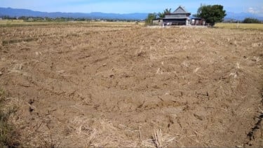Bukan Hanya Indonesia, Fenomena El Nino juga Berpotensi terjadi di Banyak Negara