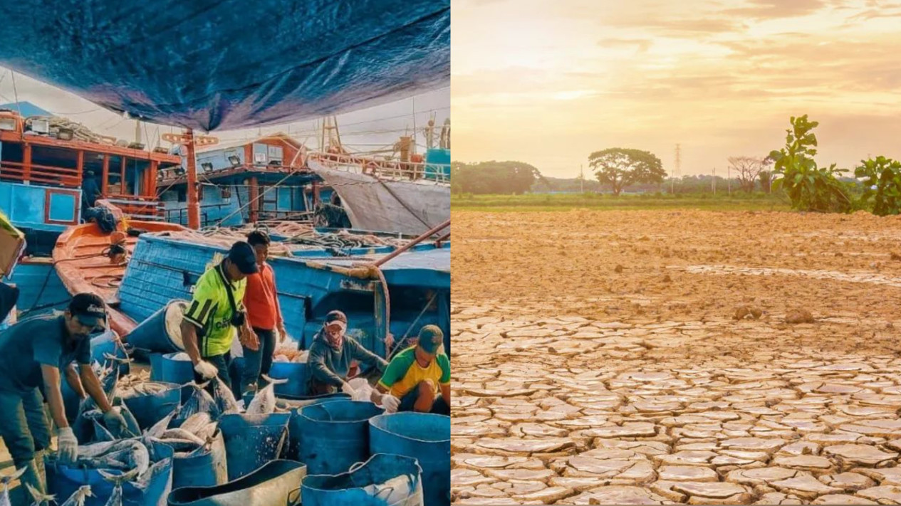 Fenomena El Nino jadi Perhatian Banyak Negara, Ternyata Ada Dampak Positif Kata Peneliti
            - galeri foto