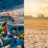 Fenomena El Nino jadi Perhatian Banyak Negara, Ternyata Ada Dampak Positif Kata Peneliti