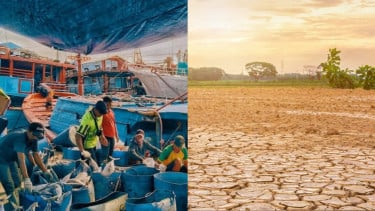 Fenomena El Nino jadi Perhatian Banyak Negara, Ternyata Ada Dampak Positif Kata Peneliti