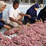 Peringatan Dini El Nino, BMKG Makassar Anjurkan Petani buat Persiapan Air dan Penyesuaian Bibit