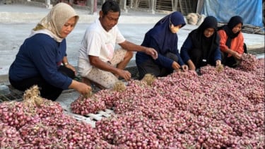 Peringatan Dini El Nino, BMKG Makassar Anjurkan Petani buat Persiapan Air dan Penyesuaian Bibit