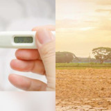 Cara Jaga Tubuh Tetap Fit saat Fenomena El Nino, Musim Kemarau Diprediksi lebih awal