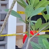 Keluarga Korban Minta Gubernur Jabar Dedi Mulyadi Kawal Kasus Kematian Pejabat BKAD Purwakarta