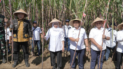 Perkuat Produksi Gula Jatim, Pemprov dan PT SGN Luncurkan Program Bongkar Ratoon Tebu