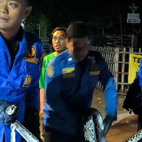 Dampak Efisiensi dan BBM Mahal, Damkarmat Kota Yogyakarta Tak Lagi Layani Semua Laporan Non-Darurat
