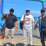 Wisata Hiu Paus di Gorontalo Ramai Dikunjungi Peserta Penas