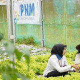 Indonesia Sustainability Award Apresiasi Komitmen ESG dan Pemberdayaan Berkelanjutan PNM