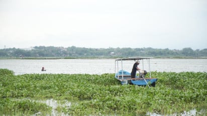 Gulma Perairan Bisa Jadi Penggerak Ekonomi, Pertamina Patra Niaga Dorong Pemberdayaan Berbasis Pengelolaan Eceng Gondok