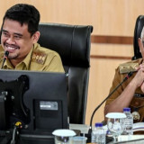 Gubernur Bobby Nasution Instruksikan OPD Percepat Realisasi PHTC dan PSD Sumut