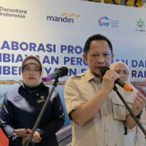 Tito Karnavian Minta Kepala Daerah Papua Dukung Sensus Ekonomi 2026 BPS, Data Akurat untuk Kebijakan