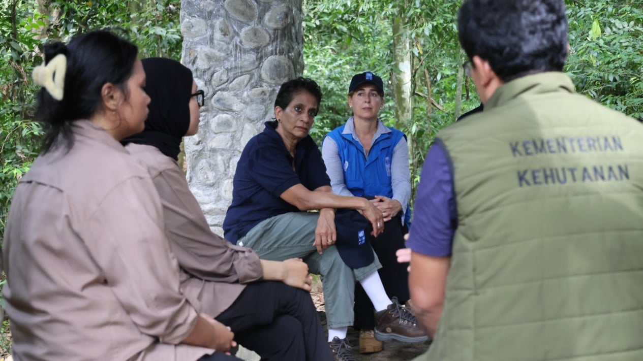 Rampung Berkunjung di Indonesia, Direktur Regional UNDP: Ekonomi dan Ekologi Tumbuh Bersama
            - galeri foto
