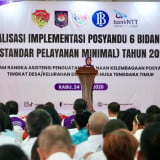 Ketum TP Posyandu: Posyandu Kini Jadi Pusat Pelayanan 6 Bidang SPM di Desa