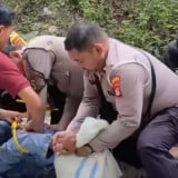 Lansia di Kulon Progo Dibacok ODGJ saat Panen Kelapa, Luka Robek di Kepala dan Telinga Nyaris Putus