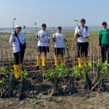 Bertajuk Beauty Begins With Nature, Aksi Tanam 1.000 Mangrove Sukses Dilakukan di Pantai Mangunharjo Semarang
