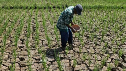 Banjarnegara Siaga Darurat Bencana Kekeringan, Ancaman El Nino di Depan Mata