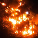 Sumur Minyak Diduga Ilegal di Musi Banyuasin Kembali Meledak dan Terbakar, Polisi Selidiki Pemiliknya