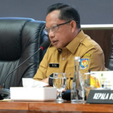 Tito Karnavian Minta BNPP Diberi Wewenang Lebih Imperatif, Sebut Perbatasan RI Perlu Komando Kuat
