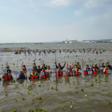 Genjot Pelestarian Benteng Alami Pantura, PAMA Group Tanam 2.000 Bibit Mangrove di Pesisir Semarang