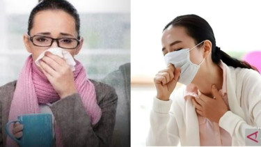 Waspada Flu Singapura, Sumatra Selatan Temukan 523 Kasus Suspek Umum Menyasar Anak-anak