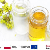 Kosmetik Polandia: Mengedepankan Inovasi untuk Bersaing di Pasar Global