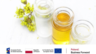 Kosmetik Polandia: Mengedepankan Inovasi untuk Bersaing di Pasar Global