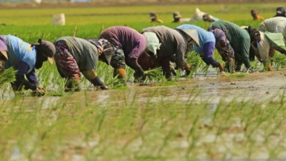 Bantu Anak Petani Untuk Kuliah, Pemkab. Karawang Siapkan Beasiswa