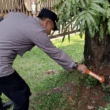 Geger Penemuan Benda Diduga Mortir di Anjungan Sumbar TMII, Tim Gegana Turun Tangan