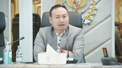 DPR RI Nilai Danantara Mampu Tingkatan Laba BUMN Hingga Hindari PHK Massal