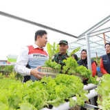 Dari Energi Bersih Hingga Peluang Usaha, Desa Energi Berdikari Perkuat Ekonomi Masyarakat Desa