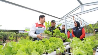 Dari Energi Bersih Hingga Peluang Usaha, Desa Energi Berdikari Perkuat Ekonomi Masyarakat Desa