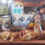 Harga Daging Ayam Ras di Probolinggo Turun karena MBG Berhenti Sementara saat Libur Sekolah