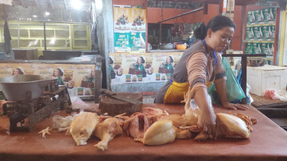 Harga Daging Ayam Ras di Probolinggo Turun karena MBG Berhenti Sementara saat Libur Sekolah