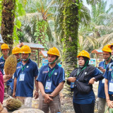 Dukung Implementasi B50, TAPG Bantu Petani Sawit Pacu Produktivitas Perkebunan Rakyat