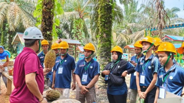 Dukung Implementasi B50, TAPG Bantu Petani Sawit Pacu Produktivitas Perkebunan Rakyat