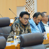 Andhika Satya Wasistho Dukung Langkah Pelaku UMKM atas Dugaan Pelanggaran TikTok Shop