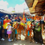 Ribuan Warga Padati Lomba Kerapan Sapi HUT Ke-60 Korem 084/Bhaskara Jaya di Sumenep