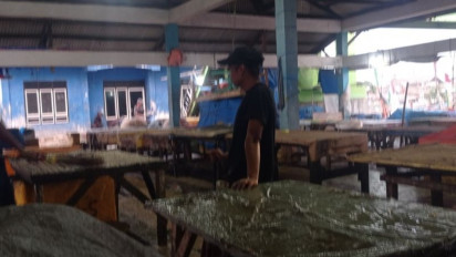 Erupsi Gunung Anak Krakatau, BPBD Pandeglang Minta Warga Waspada